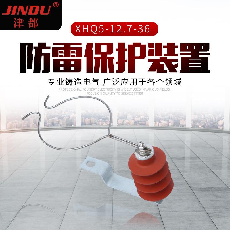 防雷保护装置XHQ5-12.7-36 过电保护器10KV 串联间隙避雷器