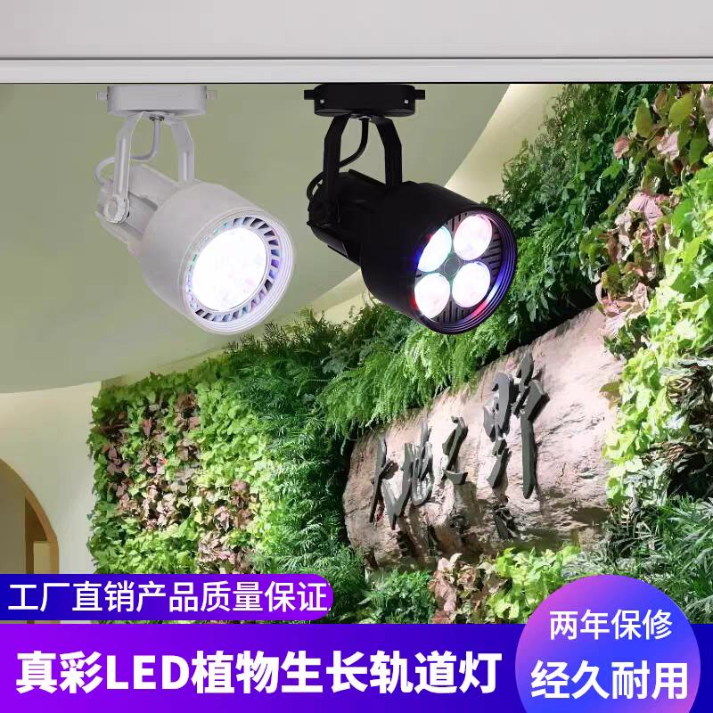 真彩50W红绿蓝混彩室内植物生长灯LED水陆缸生态水族射灯轨道灯