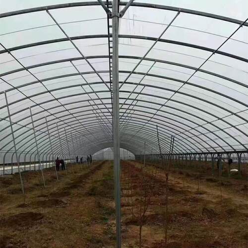 温室大棚管6分-3寸22西瓜大棚管养殖大棚骨架30*80热镀锌椭圆管