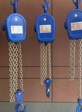 批发瑞玛特超强动力环链电动葫芦DH-S型380V链条式起重机现货