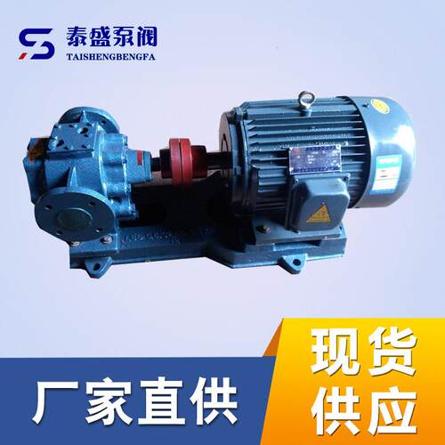 泰盛供应RCB保温沥青齿轮泵 38方沥青泵保温泵化工高粘度泵