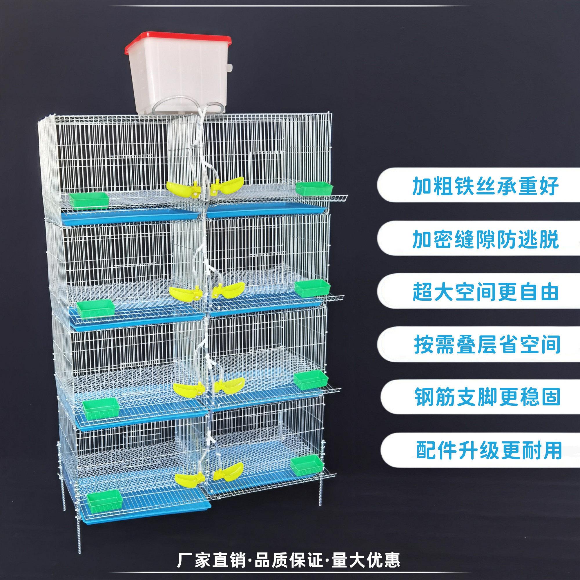 WSY芦丁鸡蛋下笼镀锌丝网养饲笼自动饮水滚蛋清粪小鸡笼家铁用养