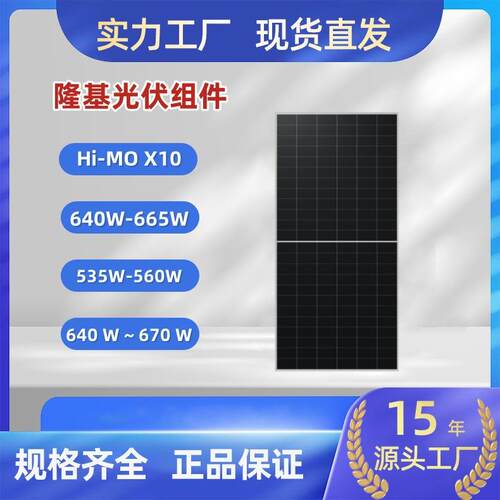 隆基单晶硅太阳能光伏发电板HI-MOX10