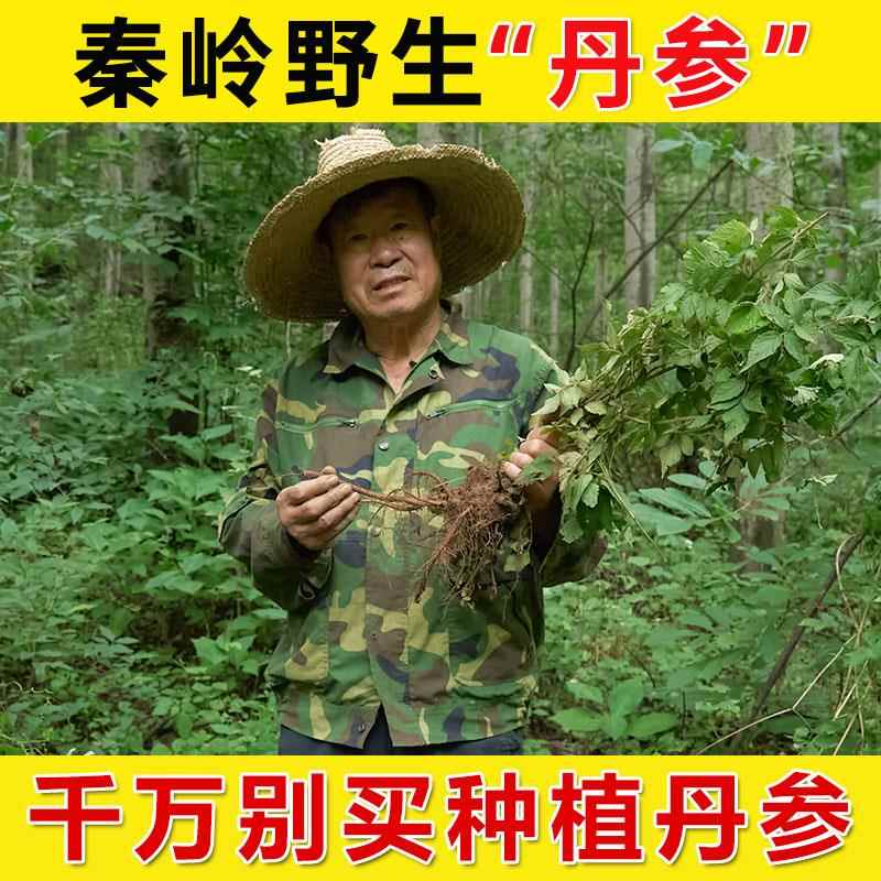 野生丹参片500g正品官方经营店非特级柴葛根川芎山楂黄芪三七泡水