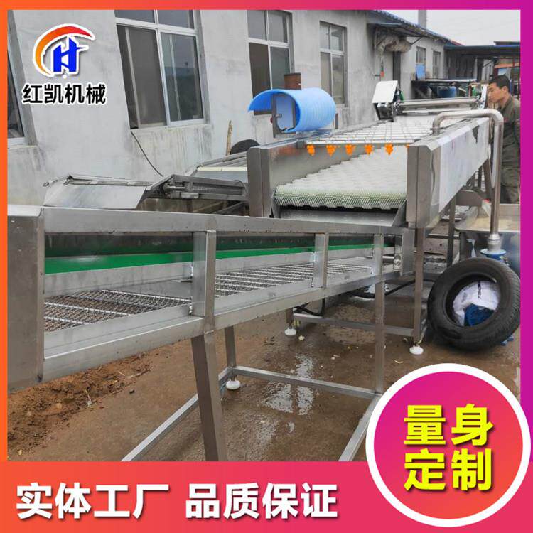 大连牡蛎扇贝毛辊清洗机 生蚝美贝高压喷淋毛刷清洗机 贝壳类
