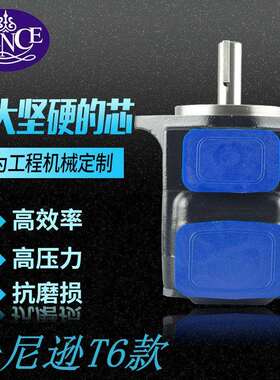 T6C-3/5/6/8/10/12/14/17/20/22/25/28/31-1R丹尼逊KST款液压油泵