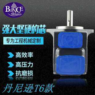 T6C 液压油泵 1R丹尼逊KST款