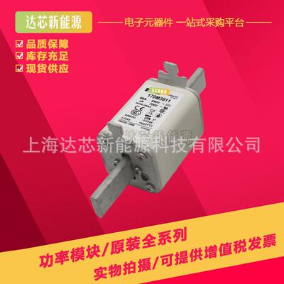 170M3808 170M3809 170M3810 170M3811 170M3812 170M3813熔断器