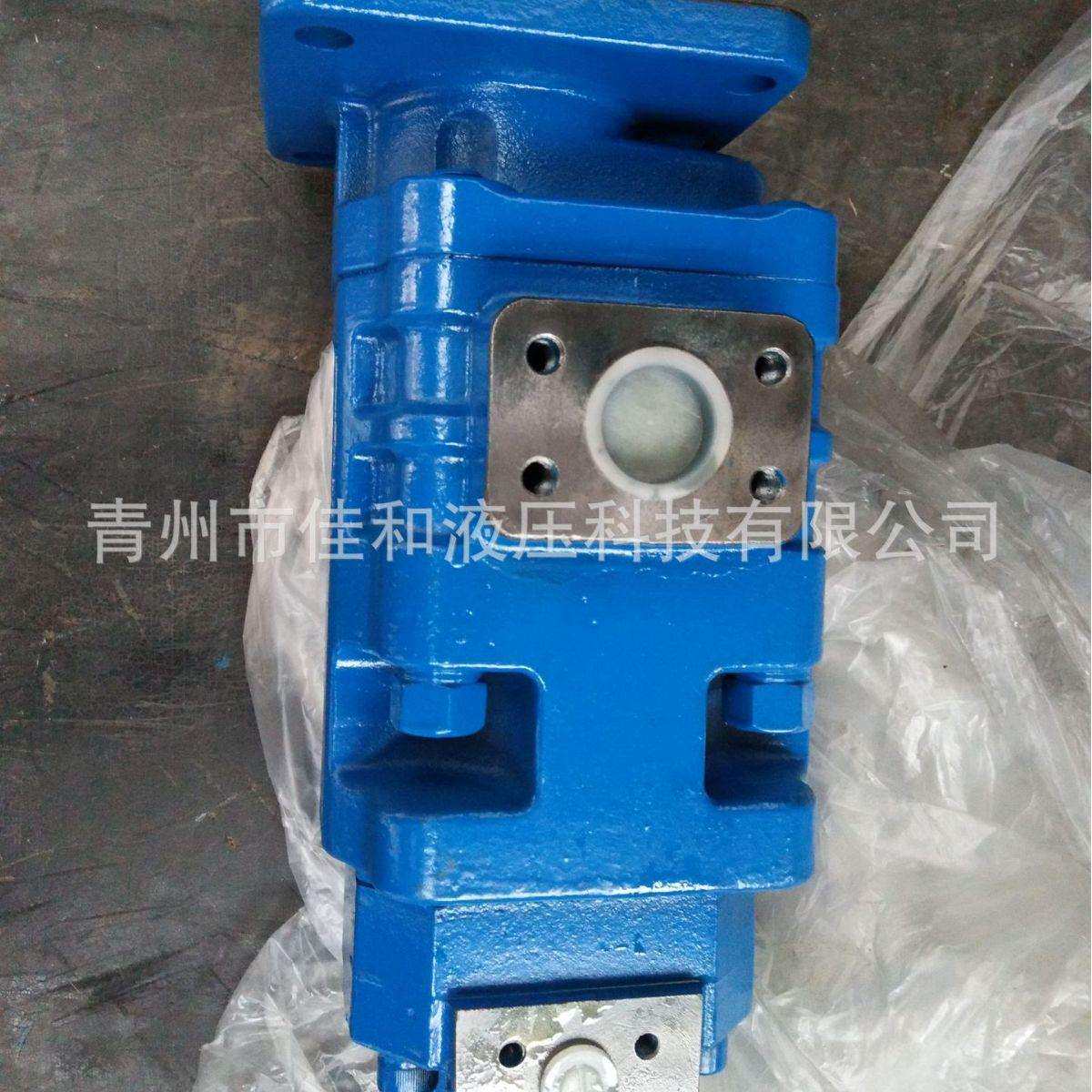 9F561-54A090000A0双联齿轮泵