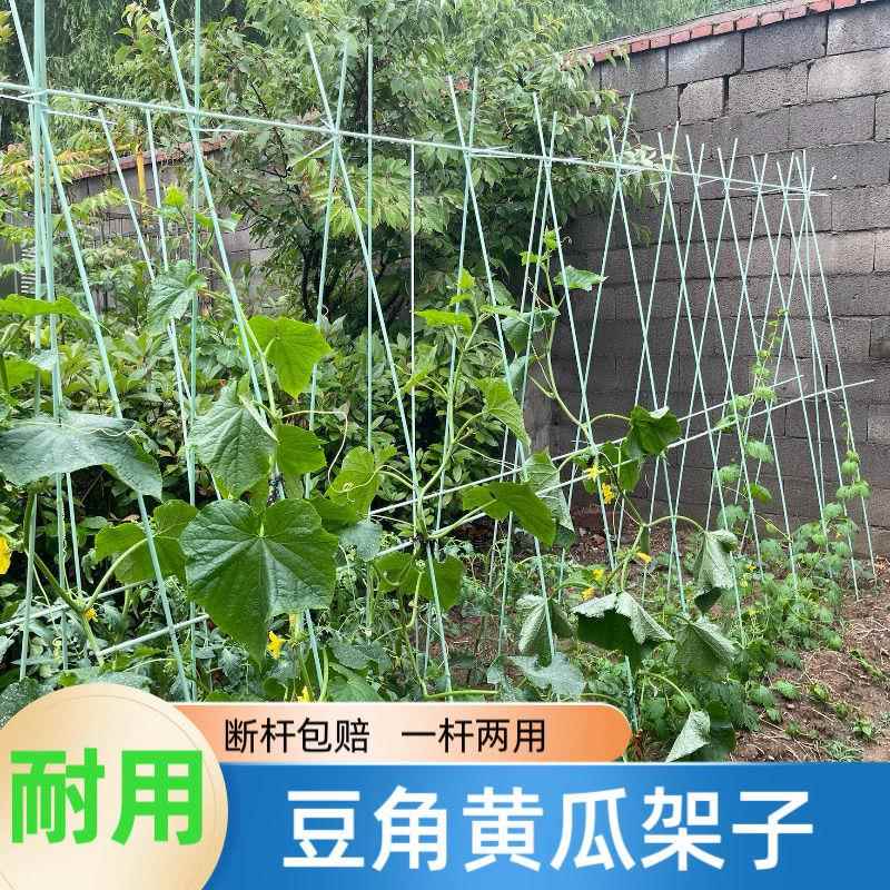 豆角黄瓜爬藤支架杆花架子塑料遮阳网辣椒扶苗杆子户外葡萄架拱杆