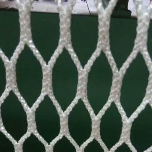 色防白坠网全筑LGI建安网