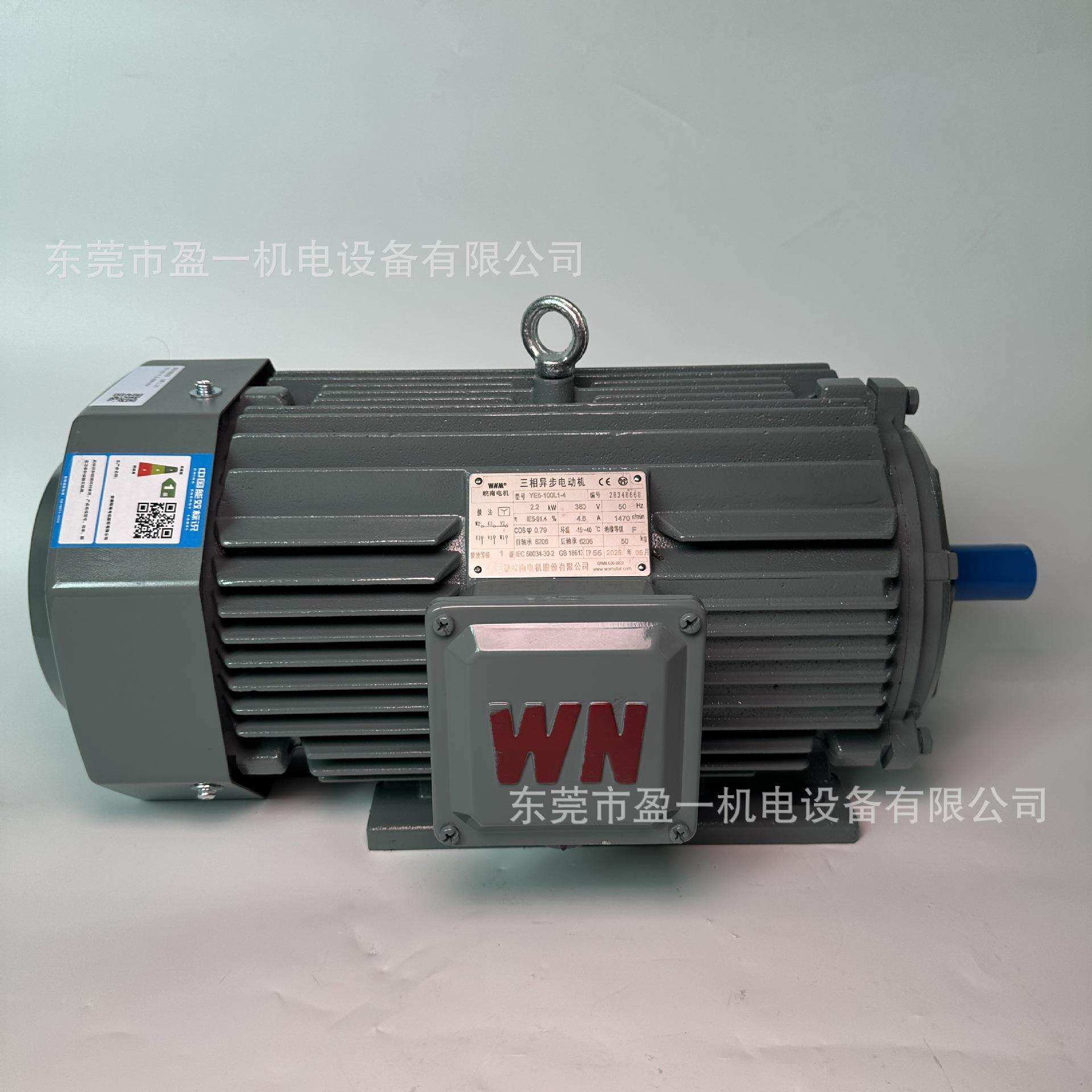 安徽皖南三相异步电机一级能效YE5-100L1-42.2W4P50HZ380V