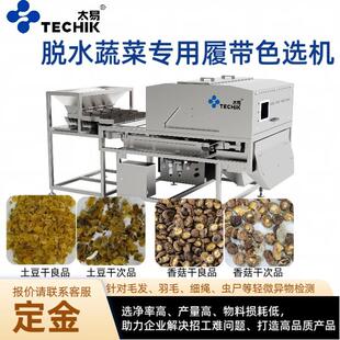 分选机 香菇干脱水蔬菜色选机毛发昆虫恶杂剔除食品厂用智能履带式