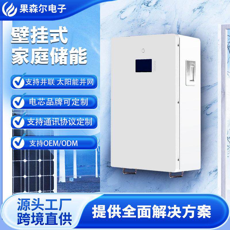 Sloar Lithium Battery新能源太阳能光伏系统家庭储能壁挂式51.2V
