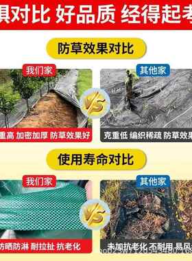 防草布除草布黑绿色pp90g遮草透水透气绿化庭院园林市政防草