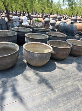 大水缸储水家用陶瓷大号养鱼瓦缸粗陶缸陶土小瓷睡莲盆