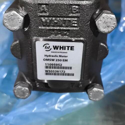 丹佛斯怀特马达OMSW250EM11095952鹰普车轮马达157160W3812BAAAAS