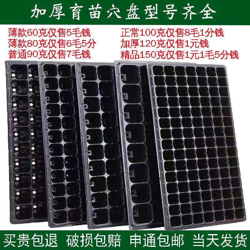 加厚育苗盘加高林木穴盘有孔平盘营养钵塑料多肉草莓 育苗箱 无孔