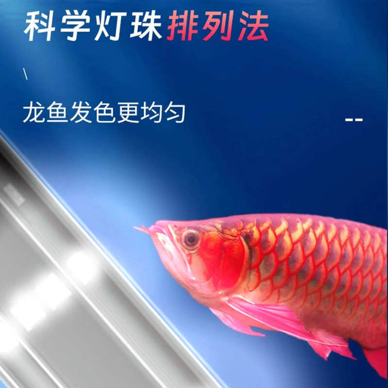 专为鱼缸观赏设计龙鱼专用LED照明灯三基色防水增艳增红潜水灯