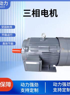 YE3高效三相异步电动机5.5W-2全铜电机YE3国标电机