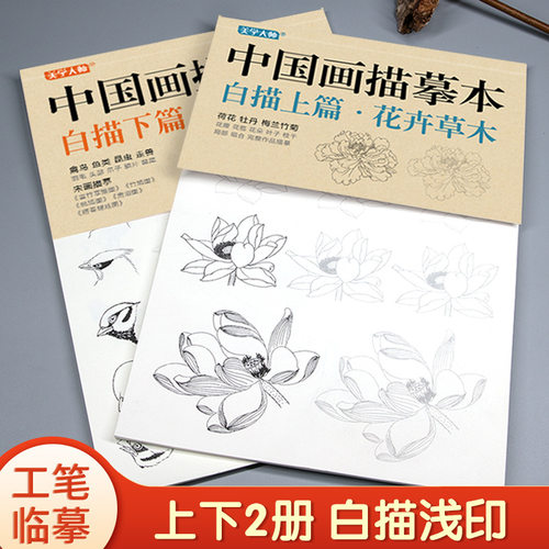 中国画工笔画描摹基础训练速写本