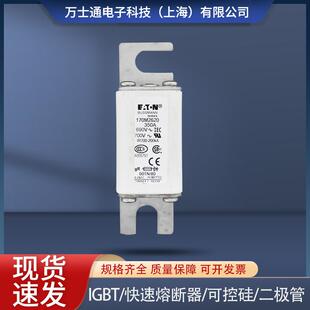 170M2670 170M2666 170M2669 170M2668 170M2671熔断器 170M2667