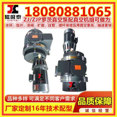 ZJ/ZJP3300罗茨真空泵18.5KW罗茨泵真空成型汕头3300L/S真空机组