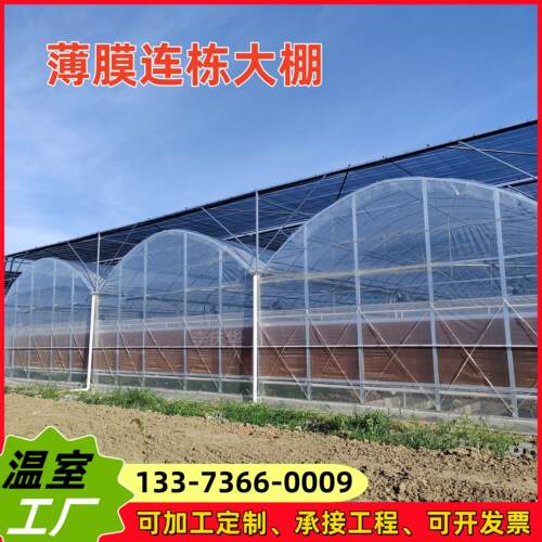 8432风机湿帘遮阳薄膜连栋温室大棚钢架农业蔬菜连体育苗多肉花卉