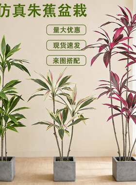 轻奢仿真绿植朱蕉七彩铁树盆栽客厅办公室大型落地装饰摆件假植物