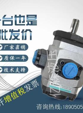 塞纳瑞SCENERY内啮合齿轮泵SNCB4-64/80/100/120/145/160-1R-H-S1