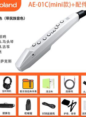 正品oland罗兰电吹R管克乐器A01娱乐初学ae05/01Ec电子萨斯葫芦丝