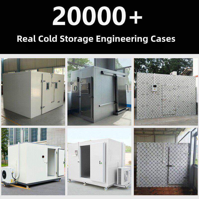 【源头工厂】冷库全套设备小型移动冻库制冷机组220V保鲜冷冻商用