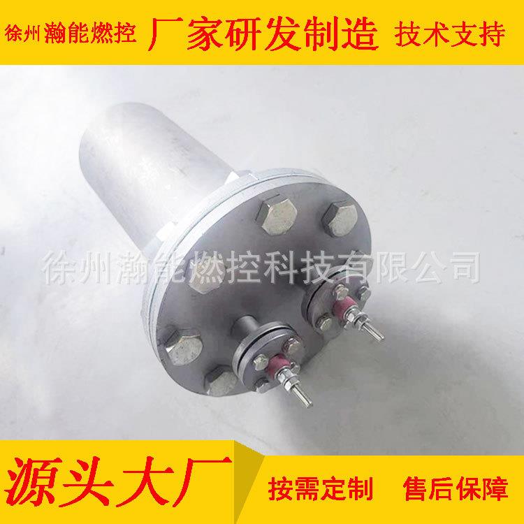 工业退火炉辉光点火器DHQ-400-00电源220V 功率470w