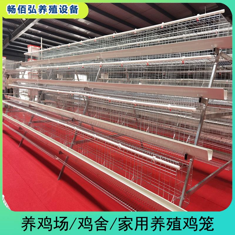 四层五门阶梯蛋鸡笼养殖厂工厂阶畜牧/养殖器械