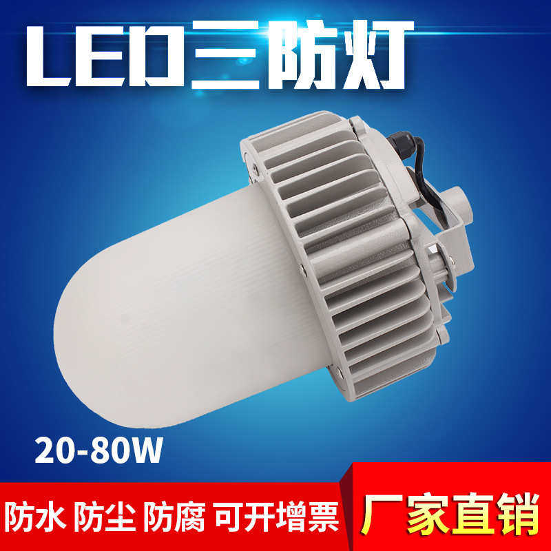 50W70W80W仓库厂房防水防尘防腐照明平台灯防眩泛光灯 LED三防灯