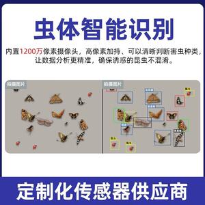 昆虫检测装置智能虫情监测系统智能云平台害虫监测仪虫情预警