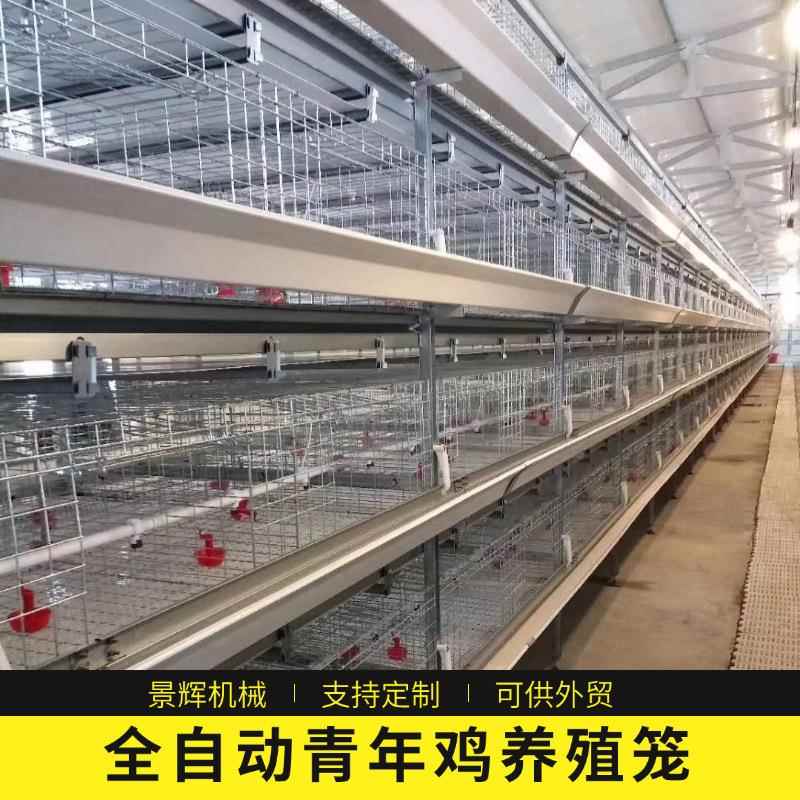 外贸全自动青年鸡鸡笼厂家自动收集自动清粪层叠式养殖场鸡笼定制