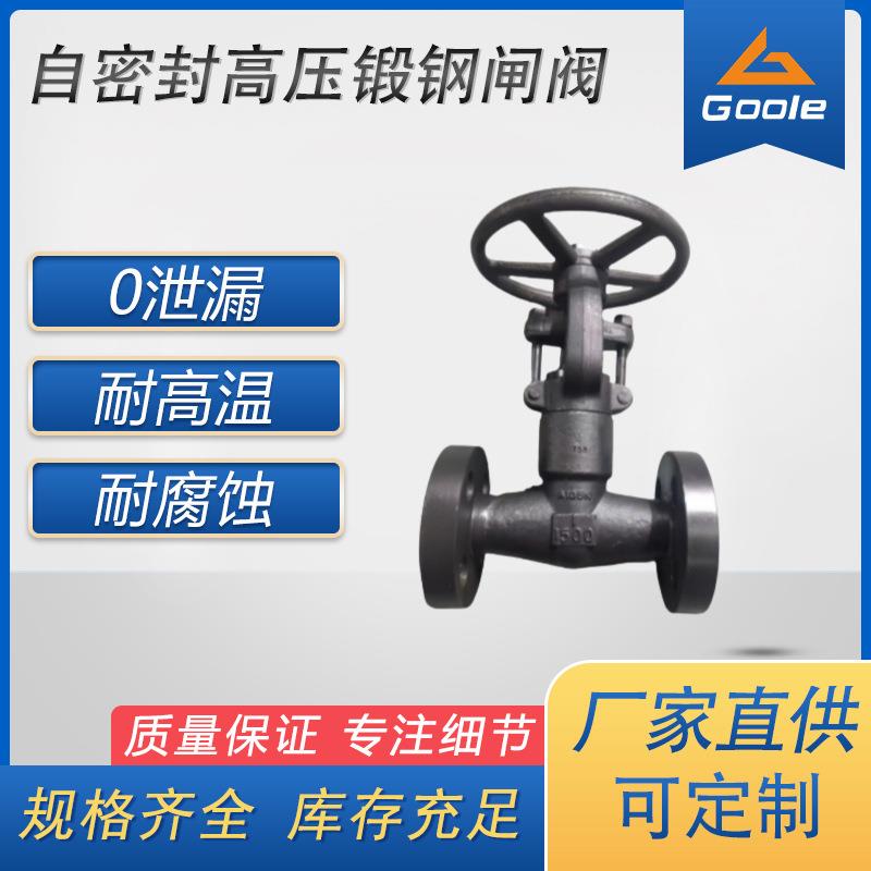 工奥阀门Z41Y自密封高压锻钢闸阀法兰闸板阀两片式手动电动气