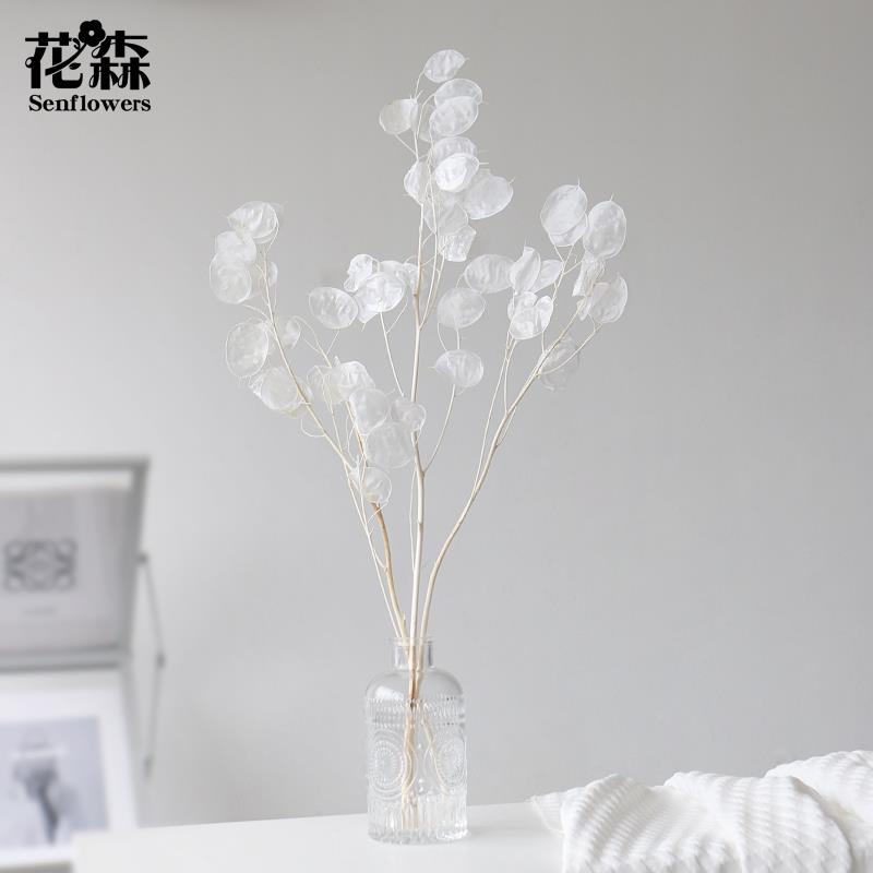 永生花天然真花干花花束轻奢高档ins风银扇叶家居装饰花艺diy配材