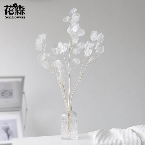 永生花天然真花干花花束轻奢高档ins风银扇叶家居装饰花艺diy配材