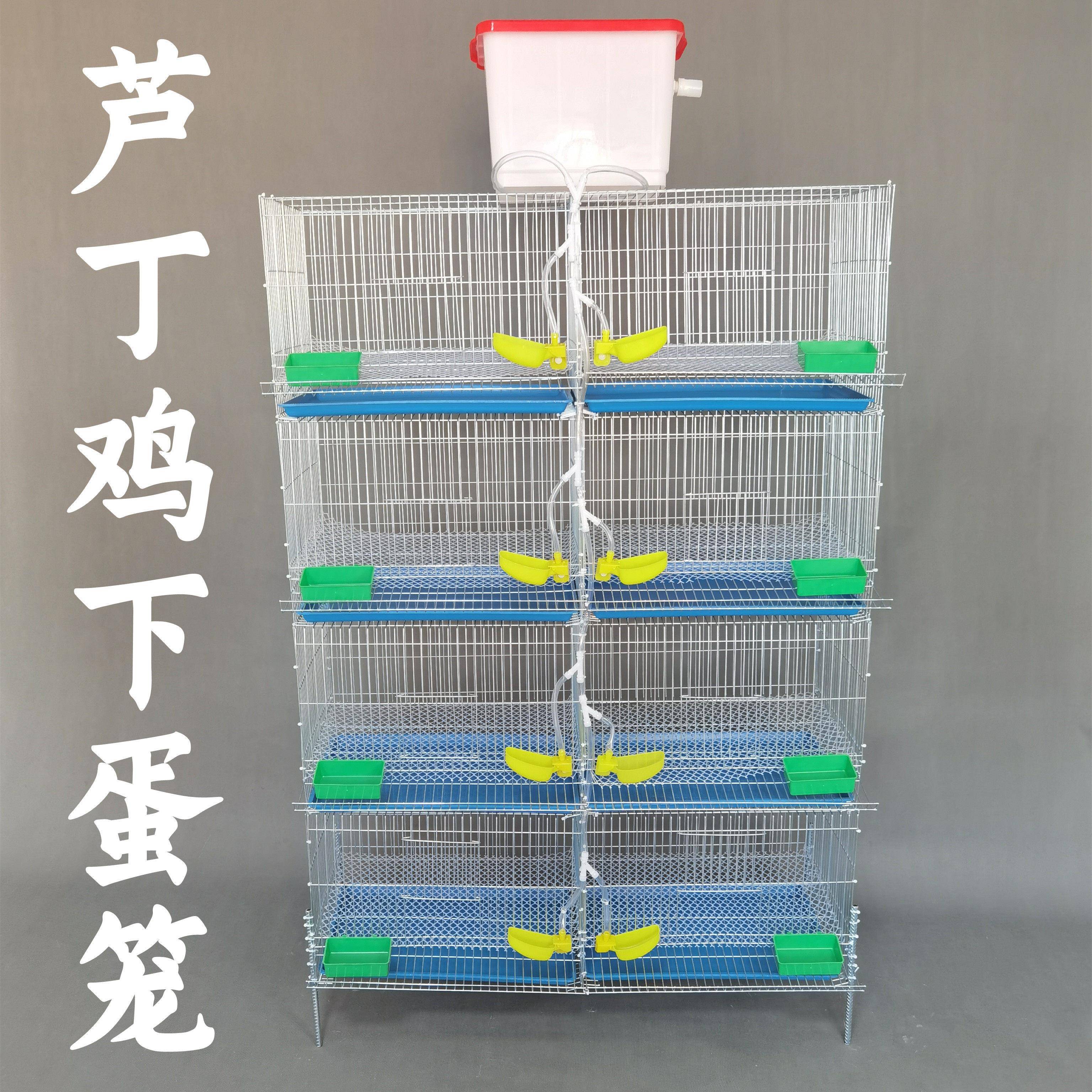 芦丁鸡下蛋笼镀锌铁丝网饲养笼自动饮水滚蛋清粪小鸡笼家用养殖笼