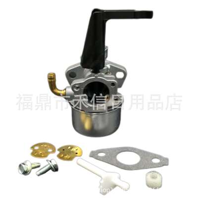 214706 215369 792970 798654 811056化油器Intek 190 850发动机