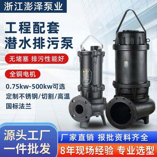 耦合式WQ潜水排污泵1.5kw高扬程提升泵大口径工地无堵塞潜污水泵