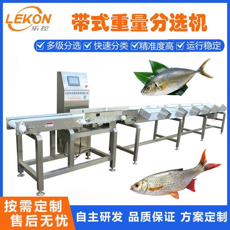 皮带式鲅鱼重量分选机鸡鸭鱼类多级重量分选秤全自动重量分级机