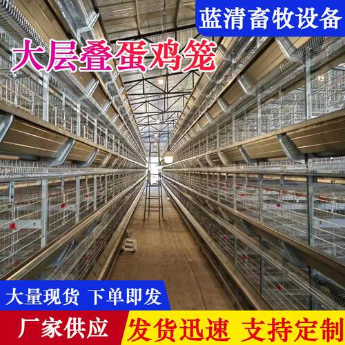 定制全自动大层叠蛋鸡笼全自动收集清粪养殖设备镀锌层叠式蛋鸡笼