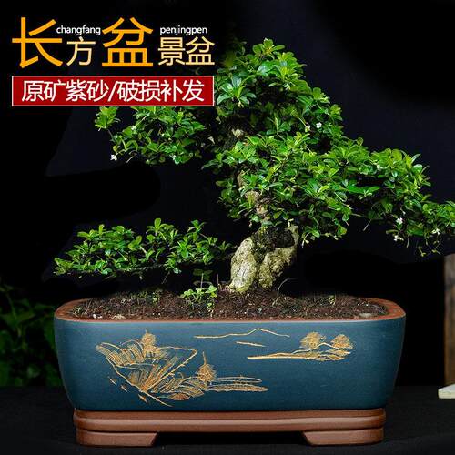 特大号紫砂花盆长方形盆景盆马槽盆室内阳台花卉盆假山造景陶瓷盆