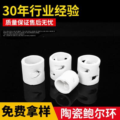 厂家供应陶瓷鲍尔环散堆填料硫酸塔冷却塔耐酸多孔工业专用