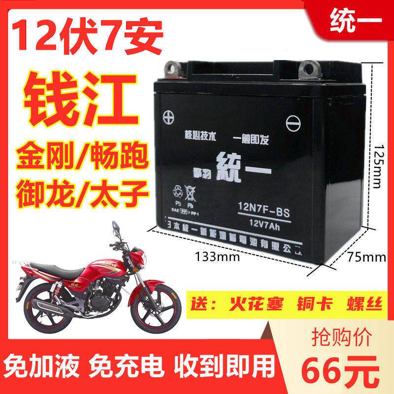 钱江金刚御龙畅跑祥龙125/150摩托车擎豹统一免维护12V7A干电瓶