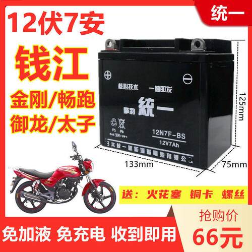 钱江金刚御龙畅跑祥龙125/150摩托车擎豹统一免维护12V7A干电瓶