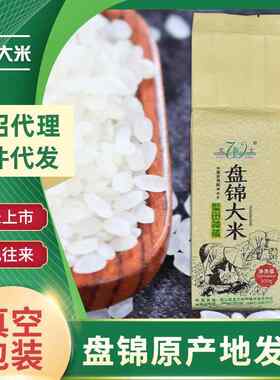 东北盘锦特产文士金大地厂家直蟹田大米新米真空米砖500g